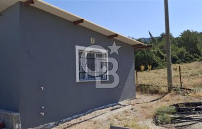 ⭐ PINARBAŞI’NDA SANAYİ ELEKTRİKLİ, KUYULU, 180 AĞAÇLI YATIRIMLIK CEVİZ ÇİFTLİĞİ