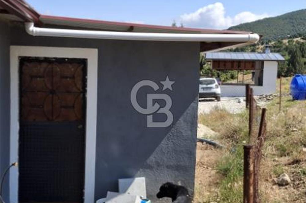 ⭐ PINARBAŞI’NDA SANAYİ ELEKTRİKLİ, KUYULU, 180 AĞAÇLI YATIRIMLIK CEVİZ ÇİFTLİĞİ