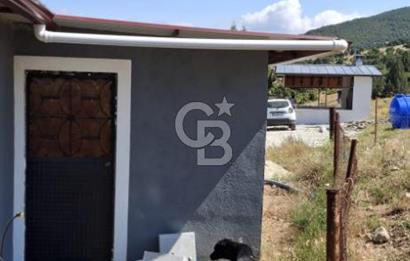 ⭐ PINARBAŞI’NDA SANAYİ ELEKTRİKLİ, KUYULU, 180 AĞAÇLI YATIRIMLIK CEVİZ ÇİFTLİĞİ