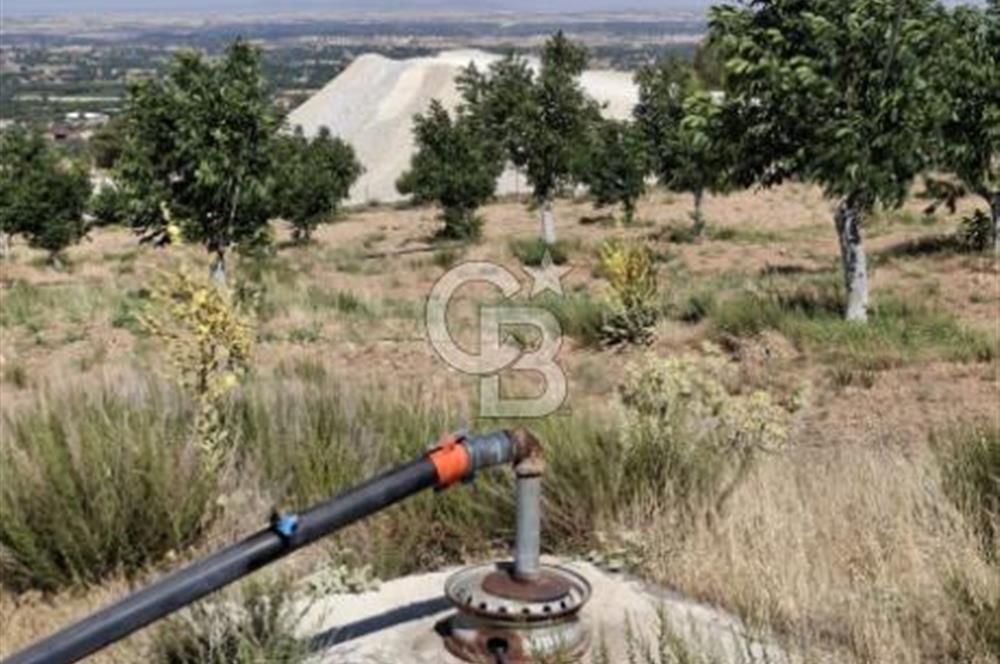 ⭐ PINARBAŞI’NDA SANAYİ ELEKTRİKLİ, KUYULU, 180 AĞAÇLI YATIRIMLIK CEVİZ ÇİFTLİĞİ