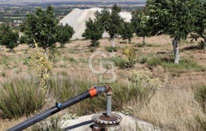 ⭐ PINARBAŞI’NDA SANAYİ ELEKTRİKLİ, KUYULU, 180 AĞAÇLI YATIRIMLIK CEVİZ ÇİFTLİĞİ