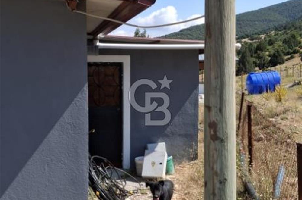 ⭐ PINARBAŞI’NDA SANAYİ ELEKTRİKLİ, KUYULU, 180 AĞAÇLI YATIRIMLIK CEVİZ ÇİFTLİĞİ