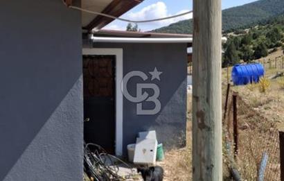 ⭐ PINARBAŞI’NDA SANAYİ ELEKTRİKLİ, KUYULU, 180 AĞAÇLI YATIRIMLIK CEVİZ ÇİFTLİĞİ