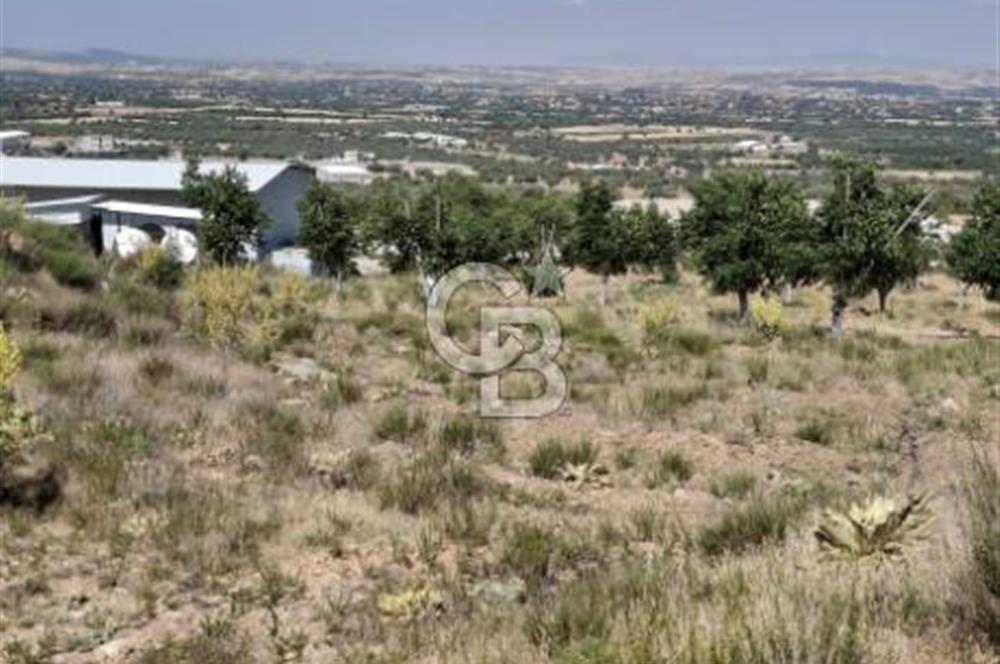 ⭐ PINARBAŞI’NDA SANAYİ ELEKTRİKLİ, KUYULU, 180 AĞAÇLI YATIRIMLIK CEVİZ ÇİFTLİĞİ