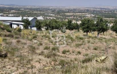 ⭐ PINARBAŞI’NDA SANAYİ ELEKTRİKLİ, KUYULU, 180 AĞAÇLI YATIRIMLIK CEVİZ ÇİFTLİĞİ