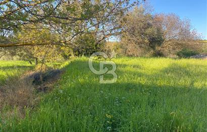 Urla Kuşçular 13293 M2 Yol Cepheli Satılık Tarla