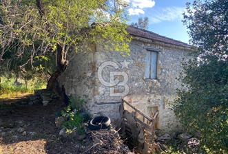 Urla Kuşçular 13293 M2 Yol Cepheli Satılık Tarla - 6 - 341927