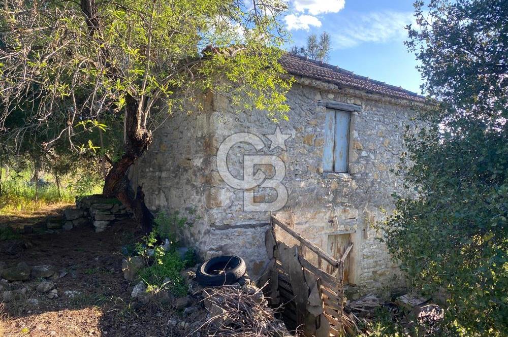 Urla Kuşçular 13293 M2 Yol Cepheli Satılık Tarla