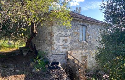 Urla Kuşçular 13293 M2 Yol Cepheli Satılık Tarla