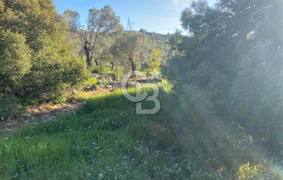 Urla Kuşçular 13293 M2 Yol Cepheli Satılık Tarla