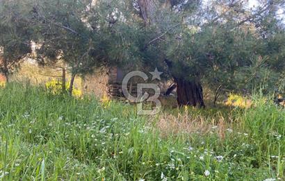 Urla Kuşçular 13293 M2 Yol Cepheli Satılık Tarla