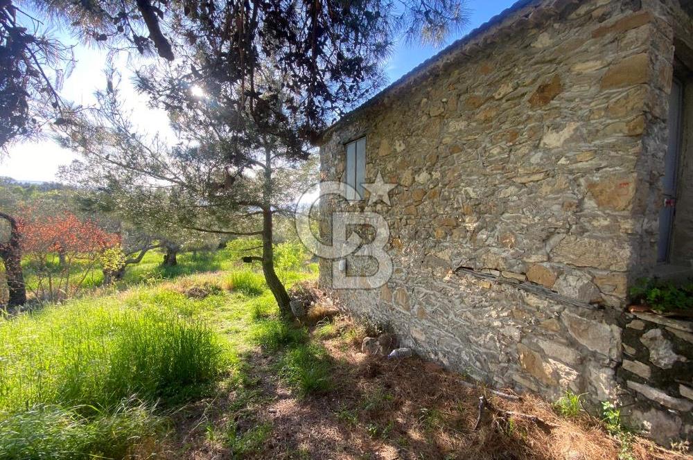 Urla Kuşçular 13293 M2 Yol Cepheli Satılık Tarla