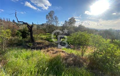 Urla Kuşçular 13293 M2 Yol Cepheli Satılık Tarla