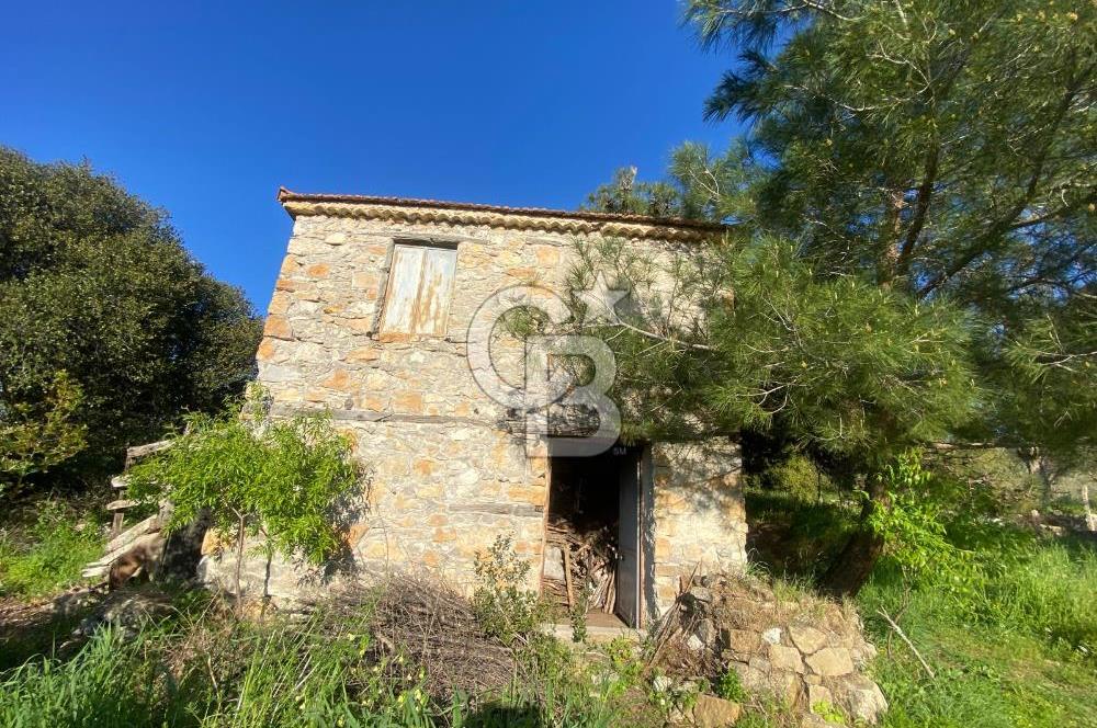 Urla Kuşçular 13293 M2 Yol Cepheli Satılık Tarla