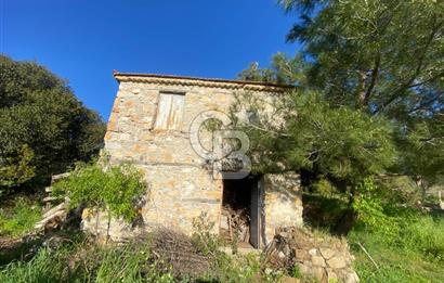 Urla Kuşçular 13293 M2 Yol Cepheli Satılık Tarla