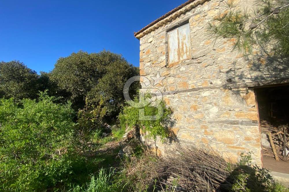 Urla Kuşçular 13293 M2 Yol Cepheli Satılık Tarla