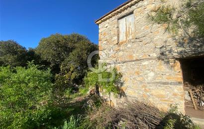 Urla Kuşçular 13293 M2 Yol Cepheli Satılık Tarla