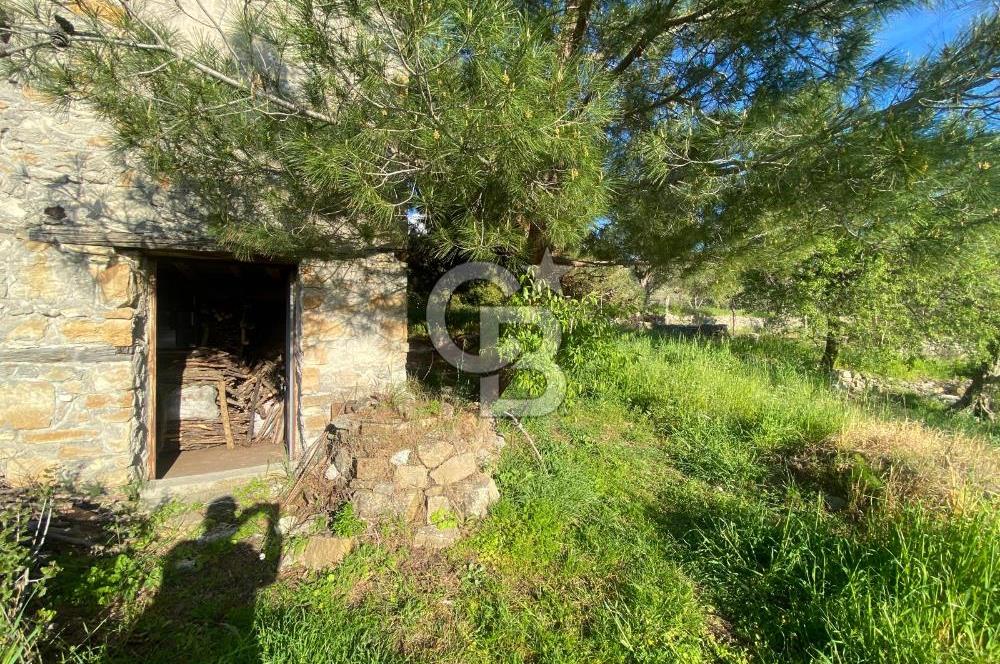 Urla Kuşçular 13293 M2 Yol Cepheli Satılık Tarla