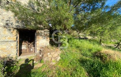 Urla Kuşçular 13293 M2 Yol Cepheli Satılık Tarla