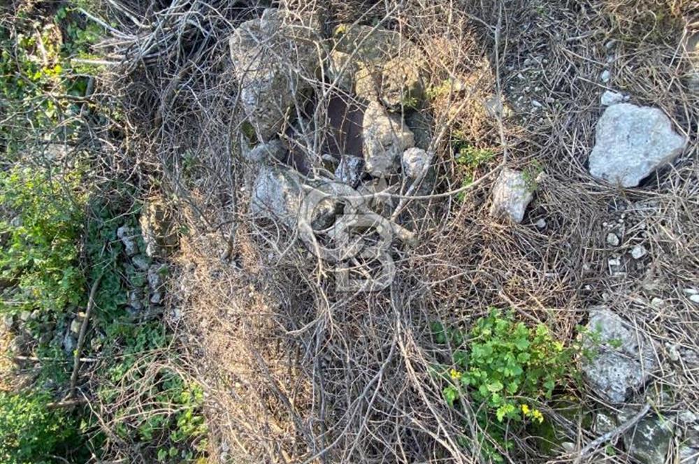 Urla Kuşçular 13293 M2 Yol Cepheli Satılık Tarla