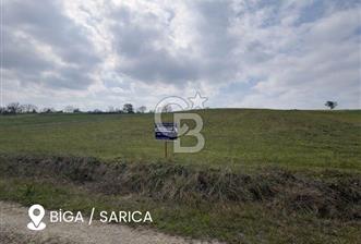 Biga Sarıca Köyünde Satılık Tarla - 4 - 341989