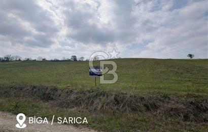 Biga Sarıca Köyünde Satılık Tarla