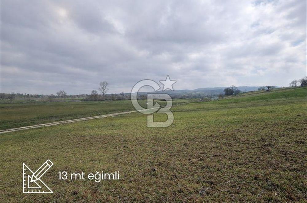 Biga Sarıca Köyünde Satılık Tarla