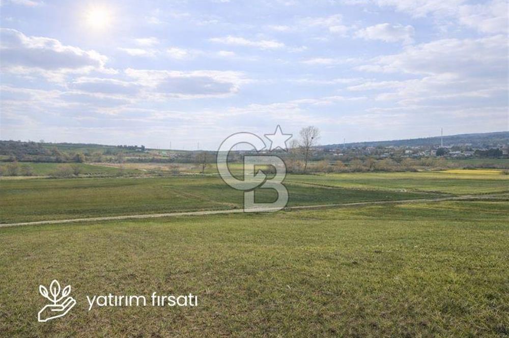 Biga Sarıca Köyünde Satılık Tarla