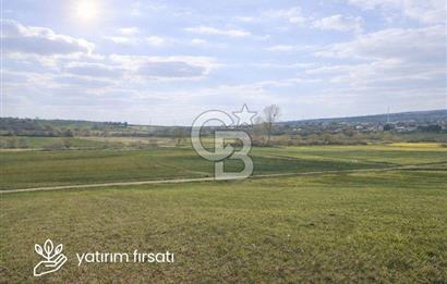 Biga Sarıca Köyünde Satılık Tarla
