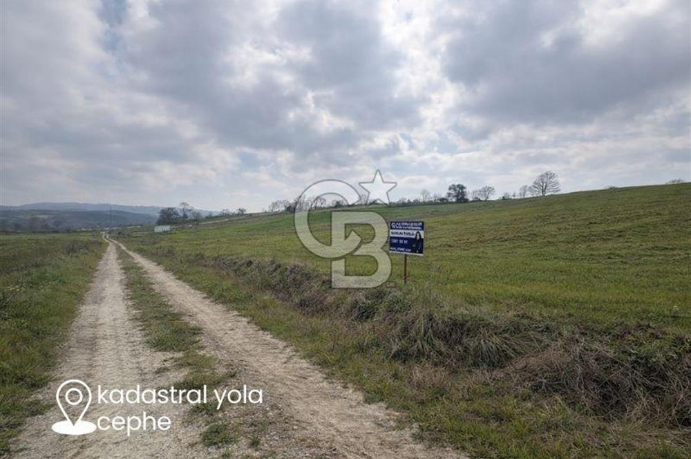 Biga Sarıca Köyünde Satılık Tarla