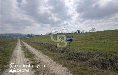 Biga Sarıca Köyünde Satılık Tarla