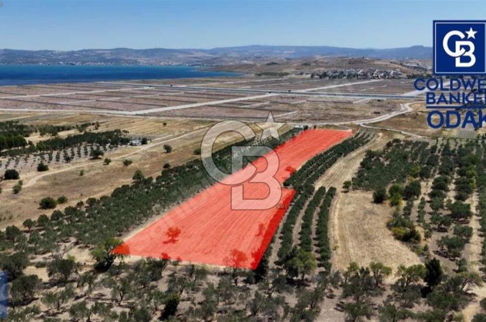 ALİAĞA ÇALTILIDERE'DE TERSANE VE HASTANE YAKINI YATIRIMLIK TARLA