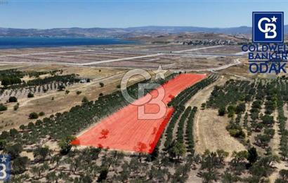 ALİAĞA ÇALTILIDERE'DE TERSANE VE HASTANE YAKINI YATIRIMLIK TARLA