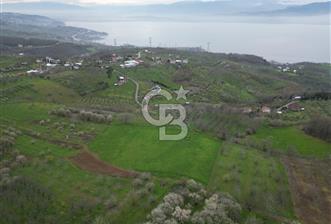 Serdivan Yukarıdereköyde 9.385 m² Doğa İçinde Yatırımlık Tarla - 3 - 342050