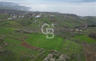 Serdivan Yukarıdereköyde 9.385 m² Doğa İçinde Yatırımlık Tarla