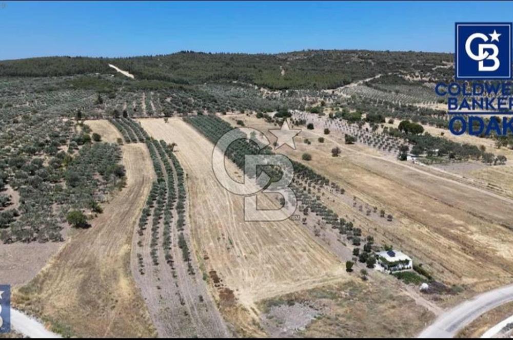 ALİAĞA ÇALTILIDERE'DE TERSANE VE HASTANE YAKINI YATIRIMLIK TARLA