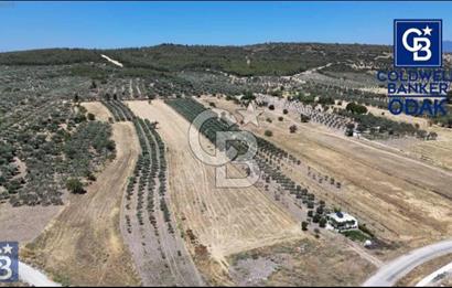 ALİAĞA ÇALTILIDERE'DE TERSANE VE HASTANE YAKINI YATIRIMLIK TARLA