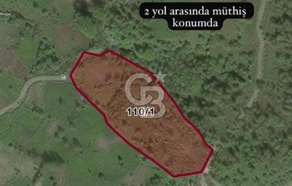 Karadeniz’in En Stratejik Noktasında Deniz Manzaralı Özel Arazi