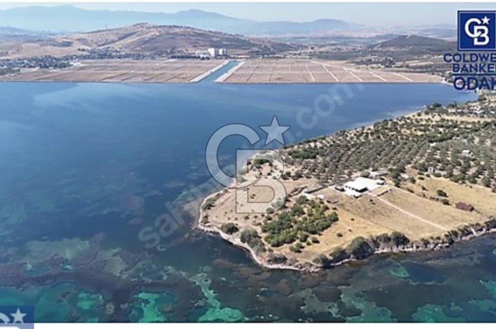 ALİAĞA ÇALTILIDEREDE YATIRIMLIK 5.654m2 DENİZE SIFIR TARLA