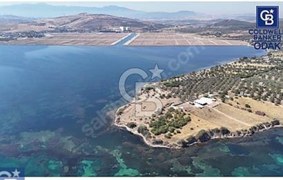 ALİAĞA ÇALTILIDEREDE YATIRIMLIK 5.654m2 DENİZE SIFIR TARLA