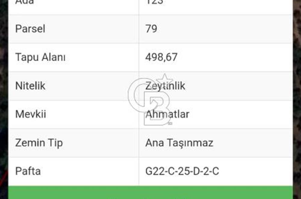 BURSA ORHANGAZİ KERAMET DE SATILIK 498 M2 ZEYTİNLİK