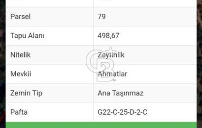 BURSA ORHANGAZİ KERAMET DE SATILIK 498 M2 ZEYTİNLİK