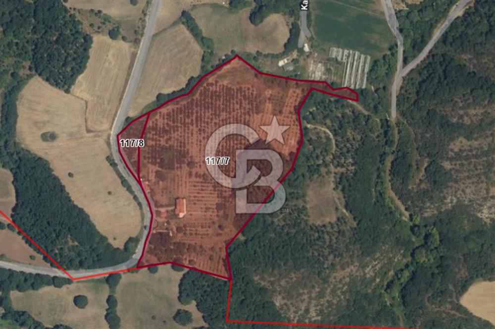 Yalova, Karadere Köyünde Meyve Bahçeli, Müstakil Konutlu Arsa