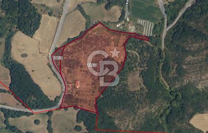 Yalova, Karadere Köyünde Meyve Bahçeli, Müstakil Konutlu Arsa