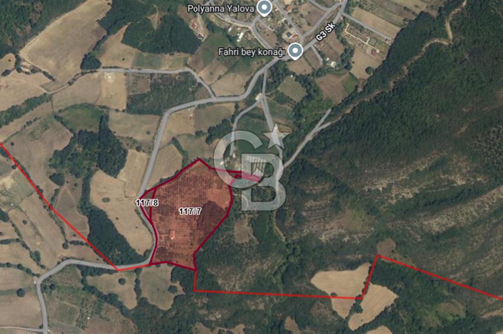 Yalova, Karadere Köyünde Meyve Bahçeli, Müstakil Konutlu Arsa