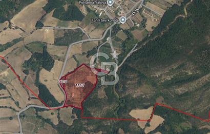 Yalova, Karadere Köyünde Meyve Bahçeli, Müstakil Konutlu Arsa