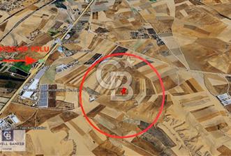 KUŞÇUNUN DEĞERLİ NOKTASINDA: 12 DÖNÜM STRATEJİK YATIRIM ARAZİSİ - 2 - 342002