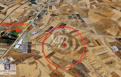 KUŞÇUNUN DEĞERLİ NOKTASINDA: 12 DÖNÜM STRATEJİK YATIRIM ARAZİSİ