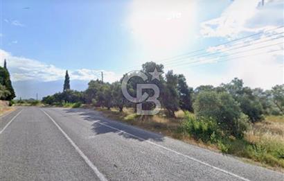 Aydın Bozdoğanda Yatırımlık ve Anayola Sıfır Fırsat Zeytinlik