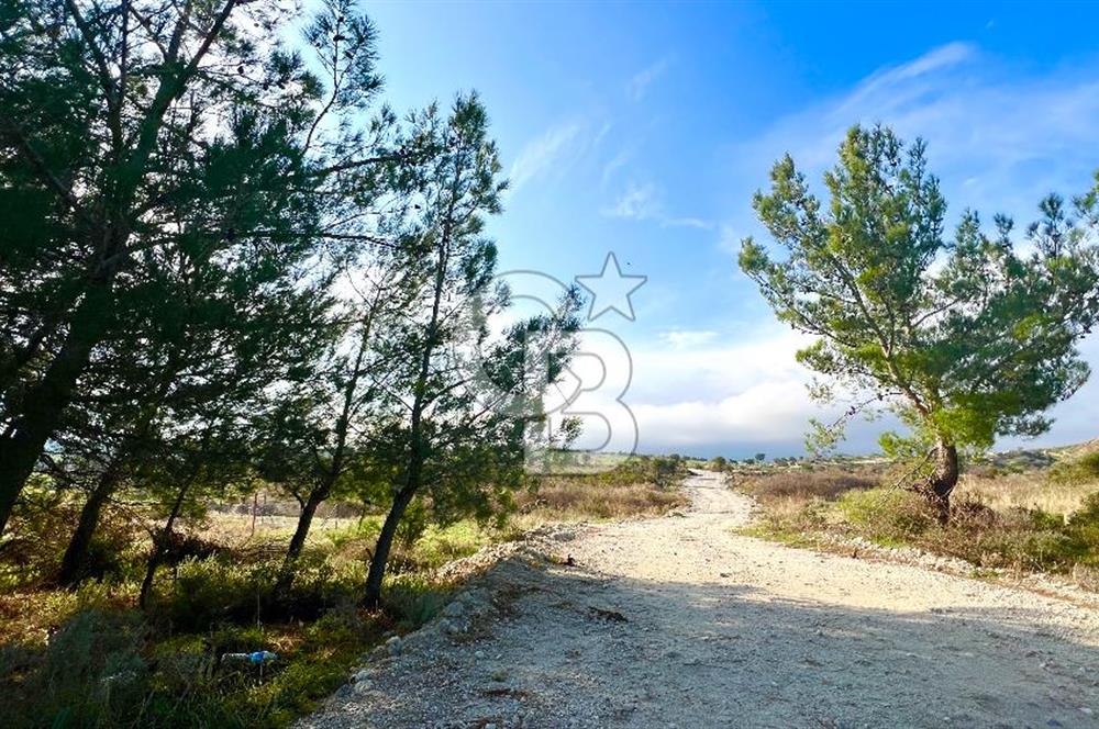 Yatırıma Uygun Dikili Çandarlı El Ele Koop. 282 m2 Satılık Arsa